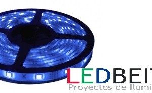 [LB5050B021] SMD5050 LED Strip, DC12V, 5m (60 Led / m) - IP33 - Blue